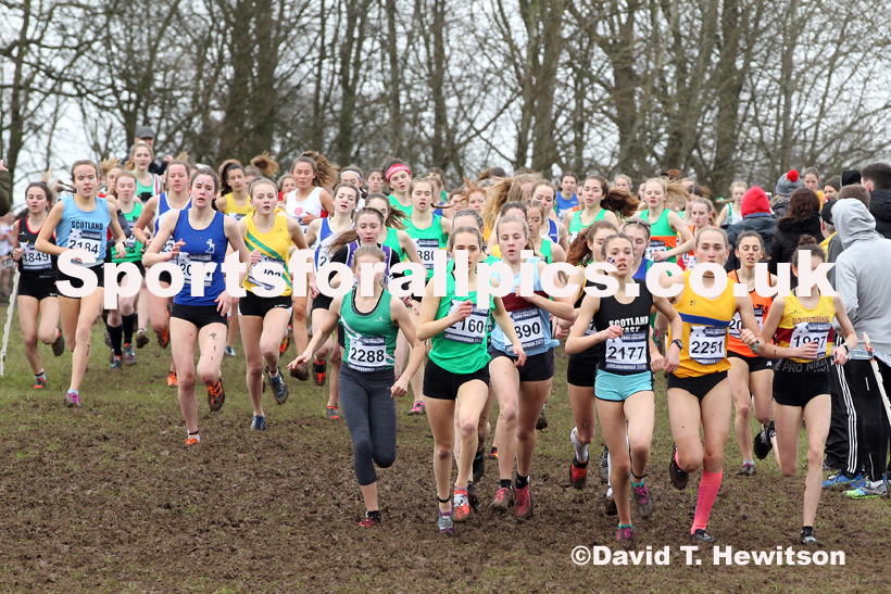 Womens under-17s, 2020 British Athletics Inter Counties Cross Country Champs., Prestwold Hall, Loughborough. Photo: David T. Hewitson/Sports for All Pics